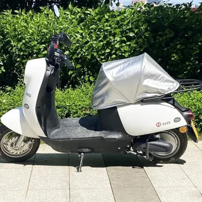 High Quality Durable Outdoor Simple 2 Seats Electric Adjustable Aluminum Alloy Car/Motorbike Seat Cover Black/White Buckle