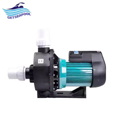 Factory Outlet High Pressure Electrical 2 Inch Water Circulation Pool Pump Massage Pump Capacity 220V/380V