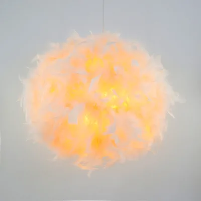 Import Turkey pink Feather Pendant Lamp High Quality