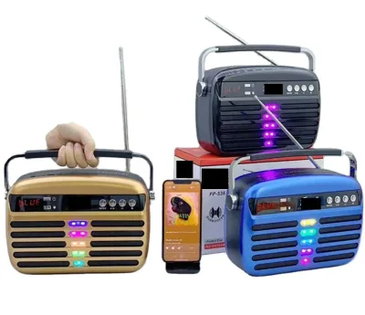 Portable Handheld Radio with LED Display Subwoofer and RGB Light for Home and Outdoor Use