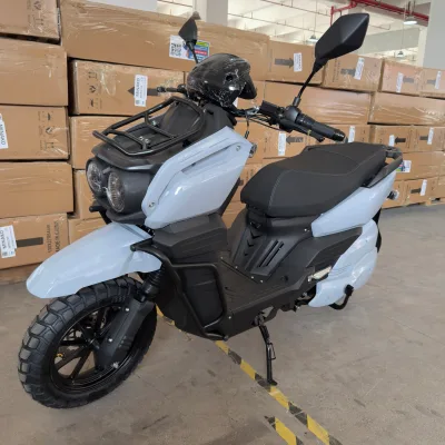 High Speed Adult Electric Dirt Bike 60V Lithium Battery 1500W Powerful Off Road Ebike with Dual Disc Brakes for Sale