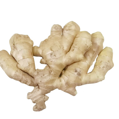 High Quality Ginger 2024 air Dried Ginger 150g and up Ginger Gingembre with 3kg/5kg Box