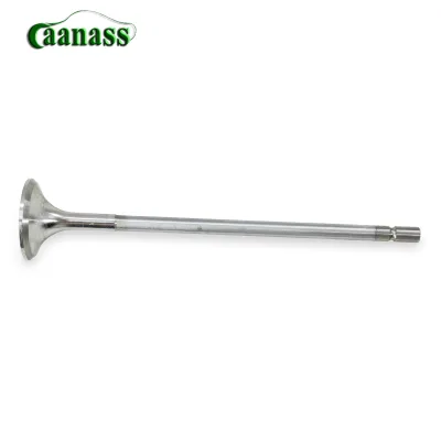 20441945 Exhaust Valve Use for Volvo Truck Spare Parts