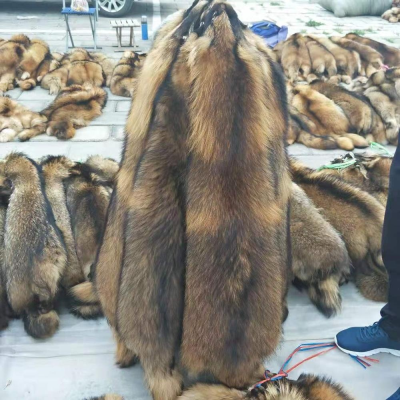 China Genuine Racoon Fur Raccoon Fur Skin for Raccoon Fur Jacket