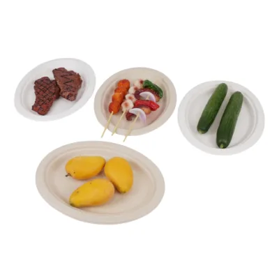 Eco Friendly 10" X 8" Disposable Food Container Bagasse Pulp Oil Proof New Design Bagasse Oval Plate
