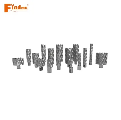 Diameter  12-100mm High Hardness Tct Annular Cutter Full Size Cheap Annular Cutter TCT