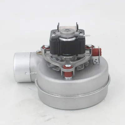Gas Wall Mounted Boiler Cast Iron Fan 35W Factory Can Be Customizable