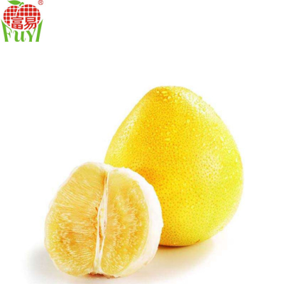 Fresh Pomelo Fruit