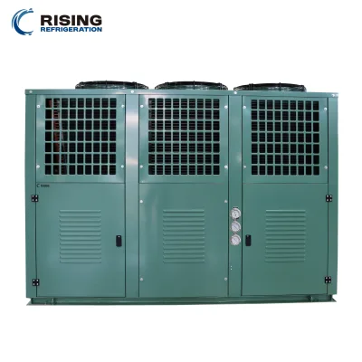 V-Box All-in-One Efficient Condensing Units 40HP Industrial Easy Installation Low Noise Outer Rotor Motor