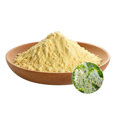 Premium Rutin 95% From Sophora Japonica Vegan Powder 50g