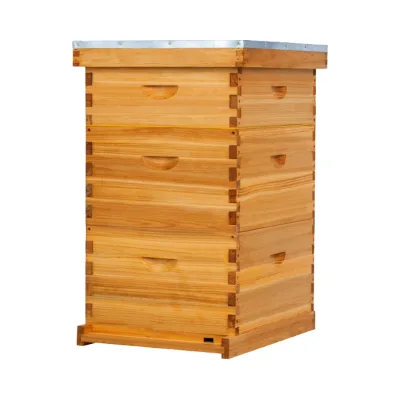 Langstroth Beehive Starter Kit 10 Frame Pine Wax Coated Material New Condition Beekeeping Equipment