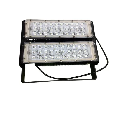 High Brightness IP66 Outdoor Remote Control Flood Lights Multi-Color 100W RGB Stainless Steel LED 120 Degree Beam Angle CRI 95