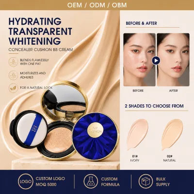 HAICUIER Whitening Skin Care Concealer Cushion BB Cream Powder Cream Spot Removal Natural Fit Refreshing Cushion Foundation