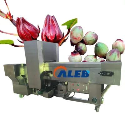 High Efficiency Hibiscus Flower Seed Corer Roselle Pitting Machine Fruit Seed Removing Dry Dates Pitting Machine