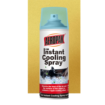 Eco-Friendly Instant Freeze Aerosol Spray Liquid Cold Quick Cooling Environmentally Friendly Product