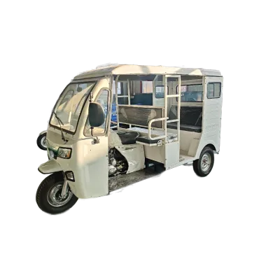 Gasoline Tricycle for 6-9 Passengers Motorcycle Customized Color with Foan Seats 20L