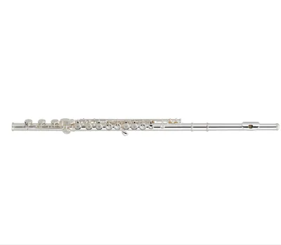 17 Open Holes Flute Silver Plated