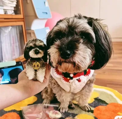 Dropshipping Handmade Customizable Pet Memorial Doll Unique Gift for Dogs Finished Pipe Cleaner Fuzzy Stick Chenille Stems