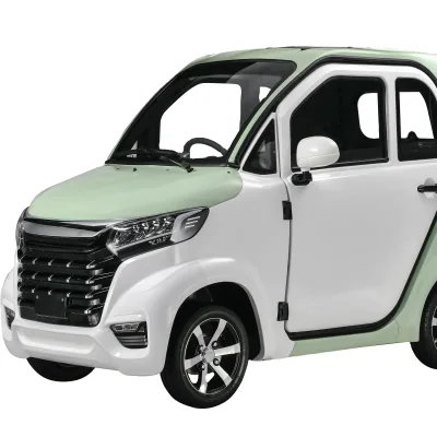 Hot  Electric Cars Made in China Adult 3seat