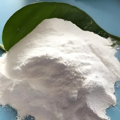 China Industrial 98% Purity Calcium Carbonate 25kg Bulk White Powder for Paint Ceramic Applications TIANCI Brand CAS 471-34-1
