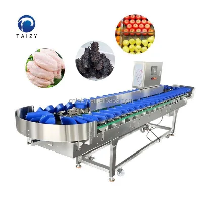 Tray Weight Grader Machine for Fish Sea Cucumber Chicken Drumsticks Rotary Automatic Weight Grading Sorting for Oyster Squid