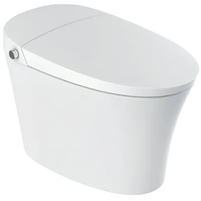 High-end modern all-in-one extended bidet with heated seat, automatic opening/closing lid, automatic flushing, warm water, remote