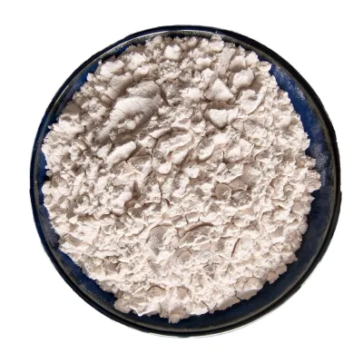Diatomite Powder for Waste Water