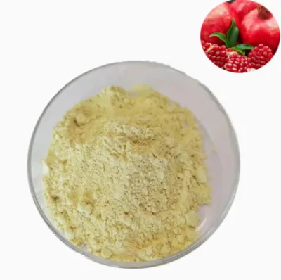 Manufacturer Supply Food Grade Raw Material Urolithin a Low Price