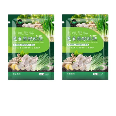 Fresh Green Cabbage Premium Quality Vegetables