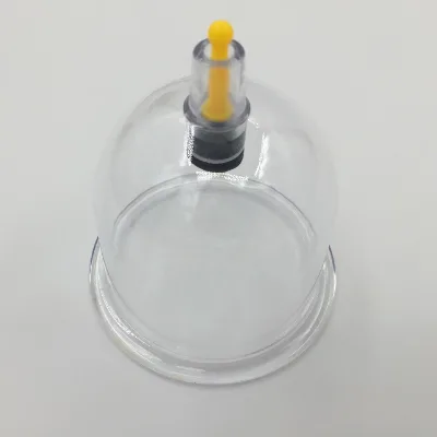 6PC/12PC Pull Out a Vaccum Apparatus