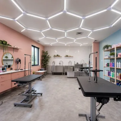 Hexagonal LED Light Canopy for Pet Grooming Center Bathing Area Honeycomb 6000K Aluminum