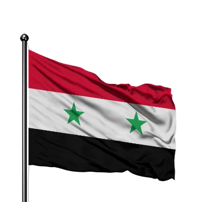 Custom Size High Quality Flag of Syrian Banner 68D Polyester Free 90 X 150cm Syria Flag