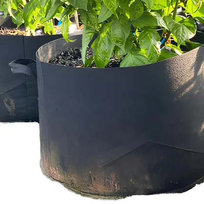Plant Fiber Reusable Breathable Grow Planter Bag for Blueberry Planting