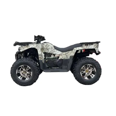 300CC ATV Popular Design Off Road Bikes Adults 4X4 Dune Buggy for Sale Cheap Atv Quad