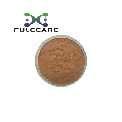 100% Longan Extract Longan Fruit Powder