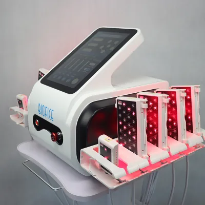 Factory Price Home Us Portable Body Fat Removal High Intensity Focus Fat Burning Melt Device Melt Fat Machine Burn Fat Machine