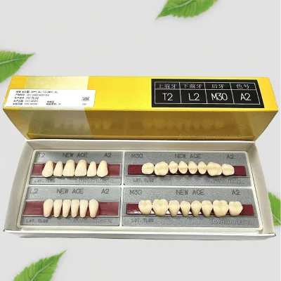 Best Selling Full Mouth Double Layer Artificial Acrylic Synthetic Resin Teeth Resin Dentures Fully Synthetic Resin Teeth