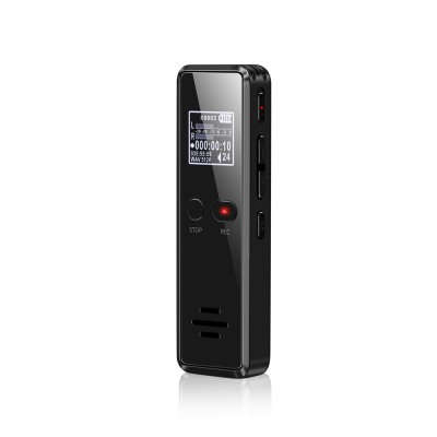 Portable 8GB/16GB/32GB Professional Digital Audio Recorder 31 Hours Recording Time MP3/REC Formats 48kHz Sample Rate USB 1.0