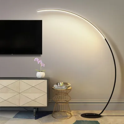 Decorative Black Floor Lamp Iron Floor Lamp for Bedroom