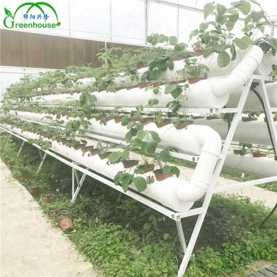 Hydroponics in Flower Planters in Garden Greenhouses