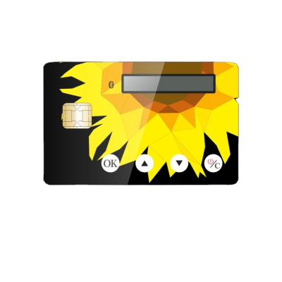 One Time Password TOTP and OCRA Algorithms OTP Visa Credit Card