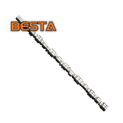 High Quality Engine Parts Camshaft OE 130019C600 for NISSAN LD23 CN Origin 1 Year Warranty