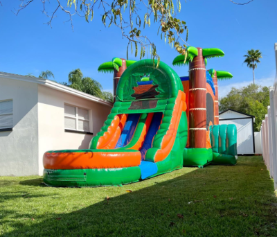 Inflatable Frozen Bouncy Castle Inflatable Bouncy Castle Inflatable Bouncer Castle