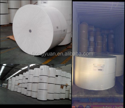 Bleached Softwood Kraft Pulp, Wood Pulp
