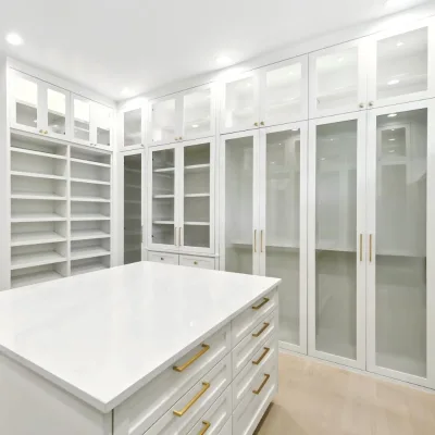 Modern Glass Door Walk in Closet Shaker Door Modular Cabinet with Lighting Options & Central Island Bedroom Furniture Set