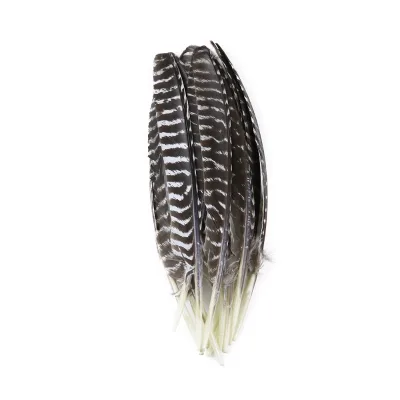Wholesale 30-35 cm Turkey Wings Feathers Natural Wild Turkey Rounds Secondary Feather for Crafts