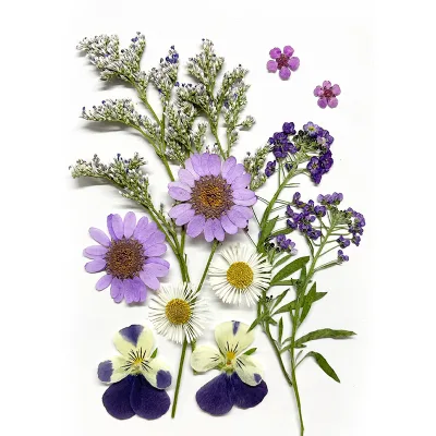 Colorful Natural Real Dried Pressed Flowers for Resin Art Silicone Mold Filler