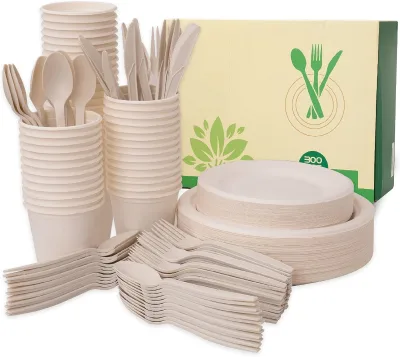 Wedding Plates Compostable Sugarcane Bagasse Plates Disposable Tableware Factory Direct OEM Manufacturer for Catering Buyers