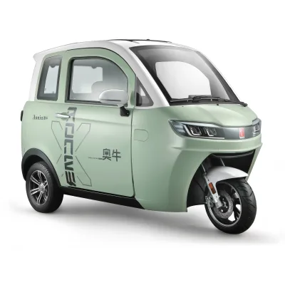 Electric Transmission 460v1500w Motor Tricycle Fro