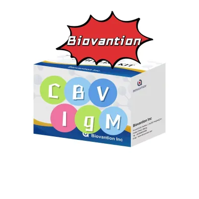 IgM Antibody To CBV Elisa Test Kit